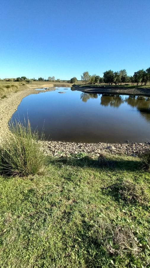 Monte Da Serralheira Agro Turismo Évora Eksteriør billede