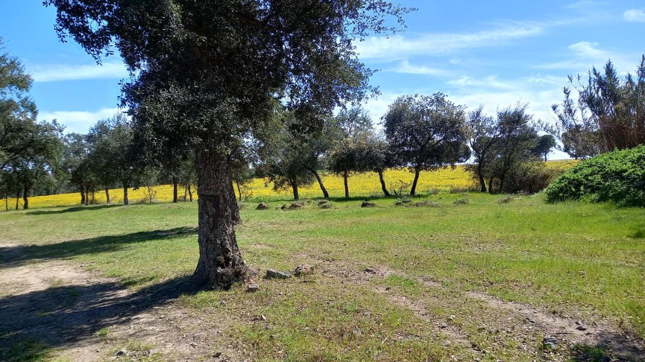 Monte Da Serralheira Agro Turismo Évora Eksteriør billede