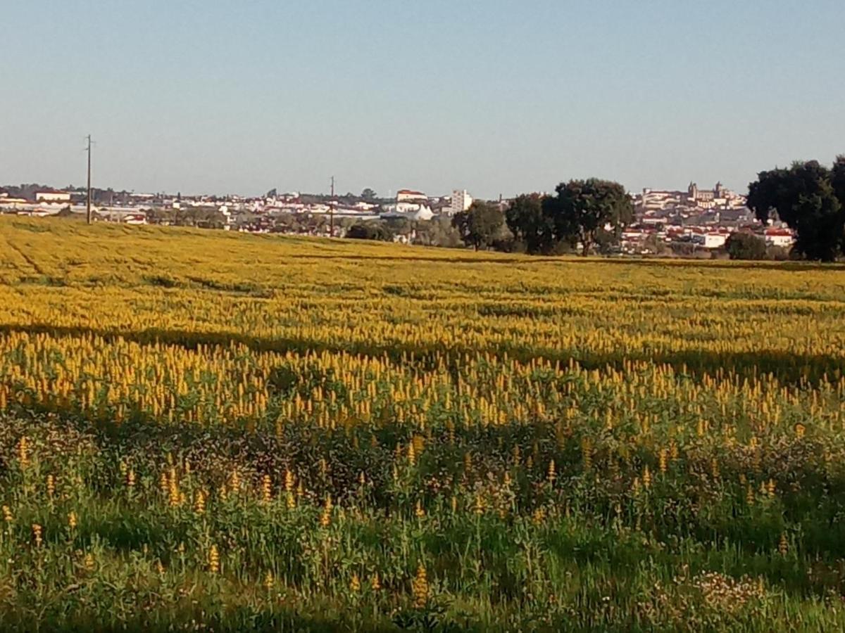 Monte Da Serralheira Agro Turismo Évora Eksteriør billede
