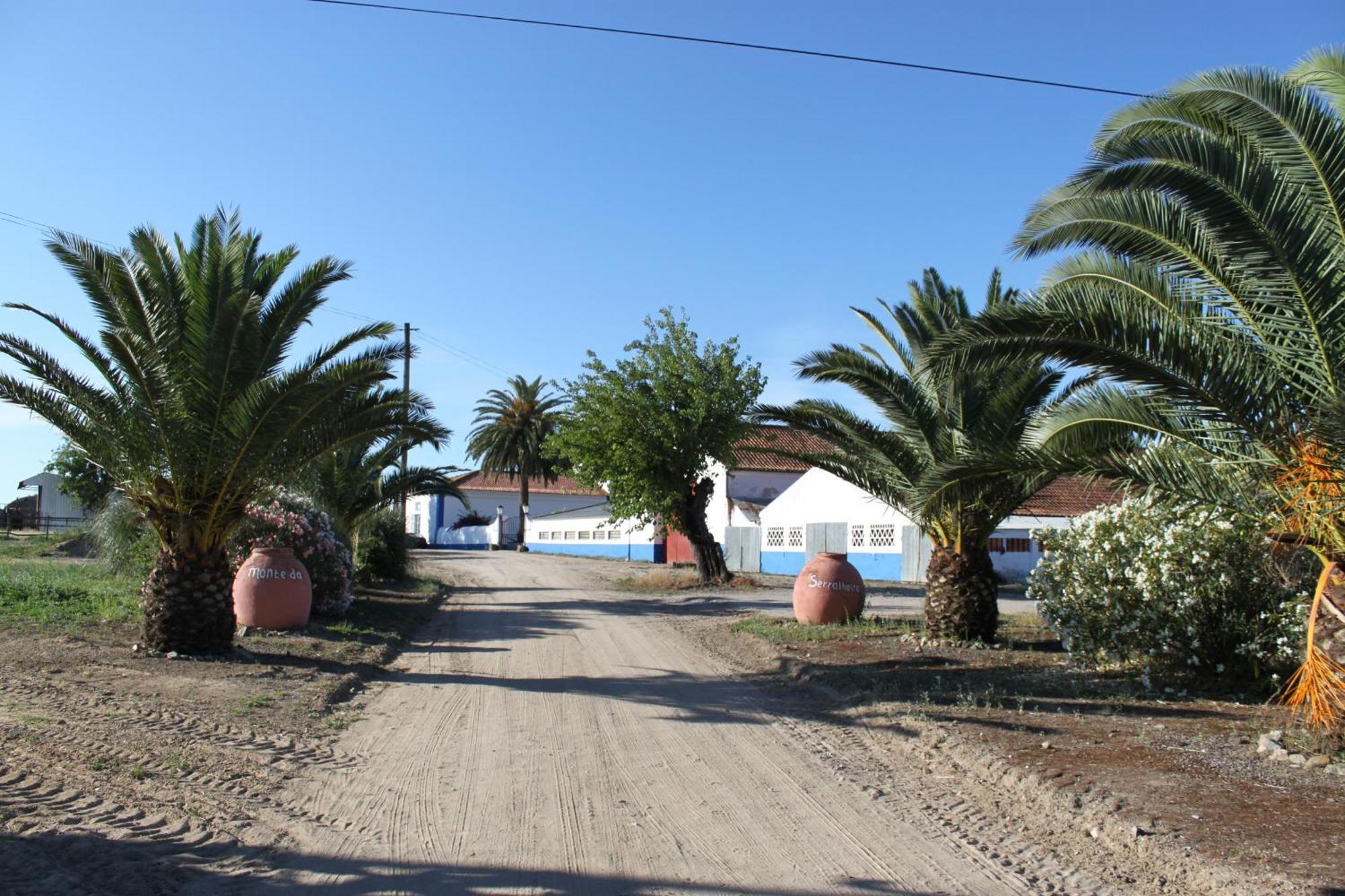 Monte Da Serralheira Agro Turismo Évora Eksteriør billede
