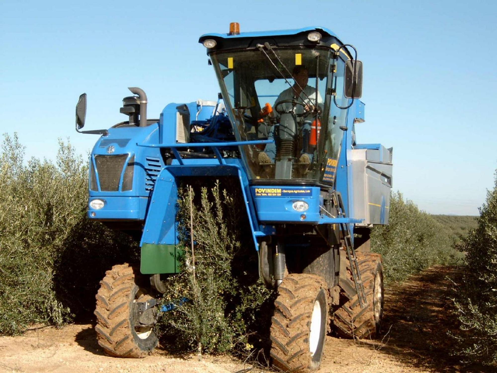Monte Da Serralheira Agro Turismo Évora Eksteriør billede