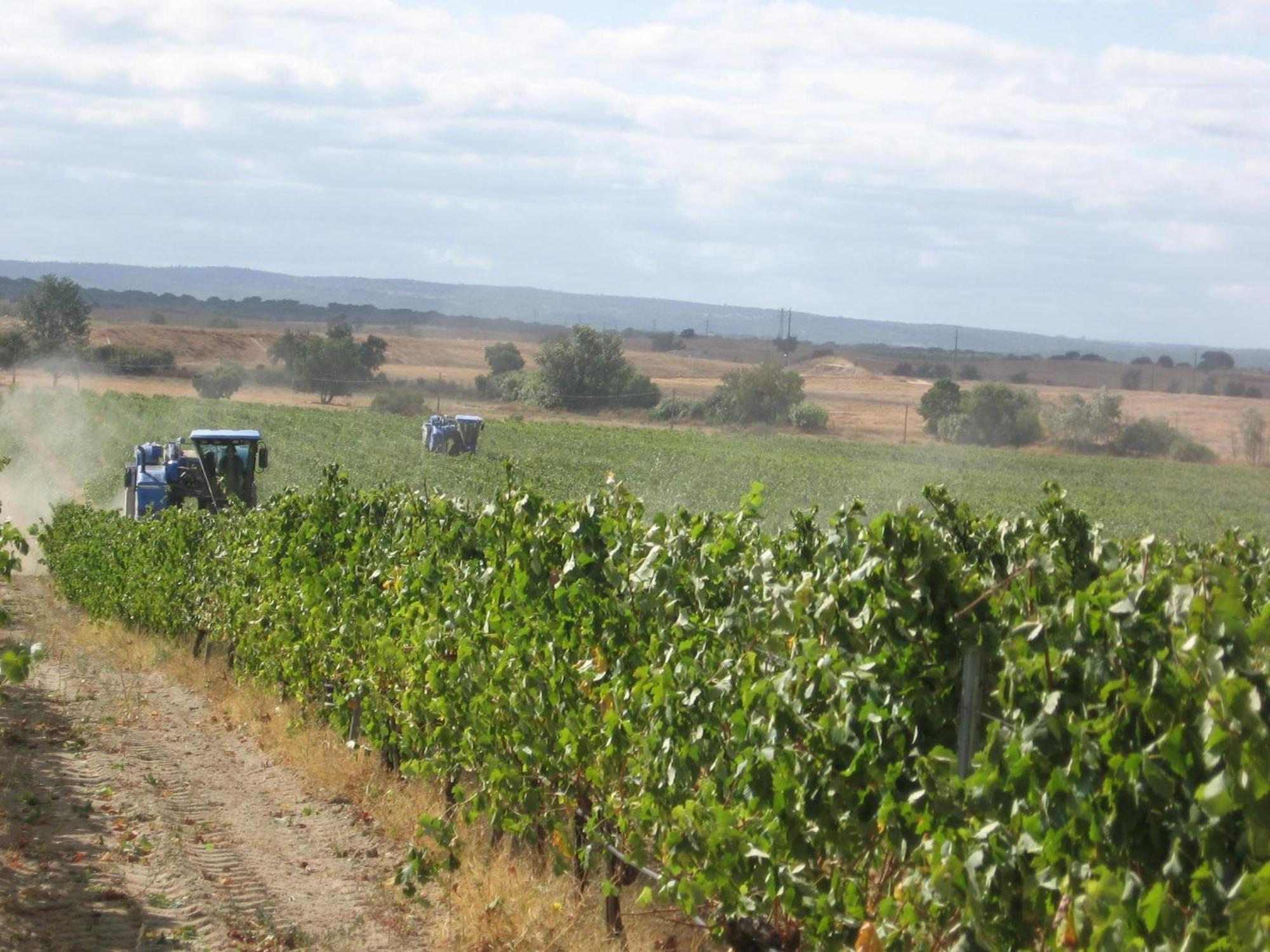 Monte Da Serralheira Agro Turismo Évora Eksteriør billede
