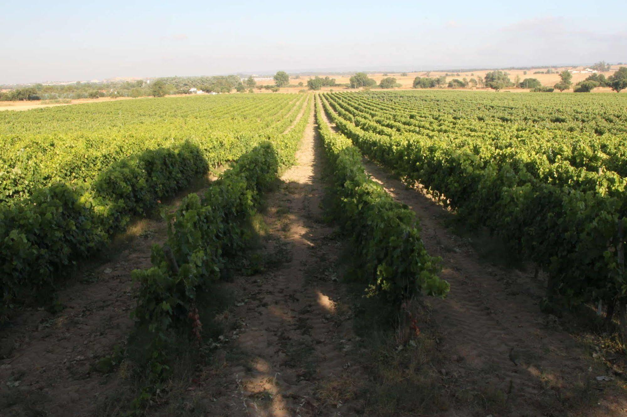 Monte Da Serralheira Agro Turismo Évora Eksteriør billede